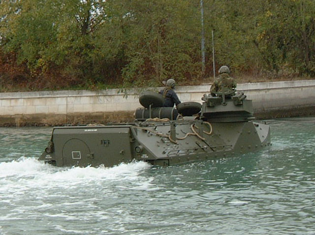 AAV7