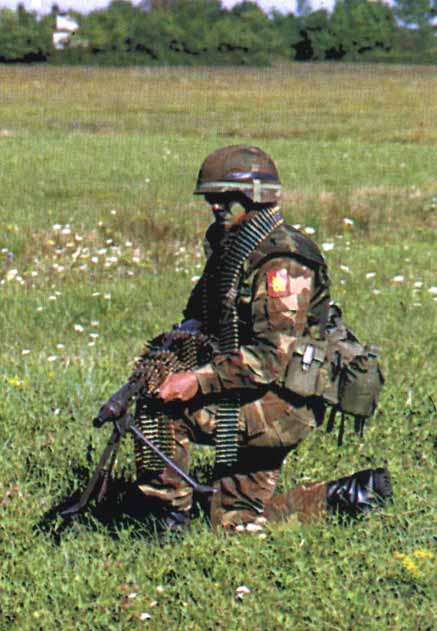 Reggimento Lagunari "Serenissima": lagunare in tenuta da combattimento nuovo tipo ~ 1994