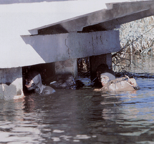 Minamento di un ponte